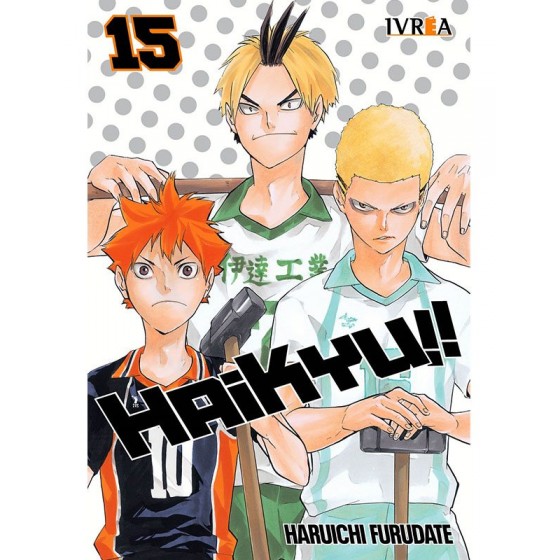 Haikyu!! 15 - Manga
