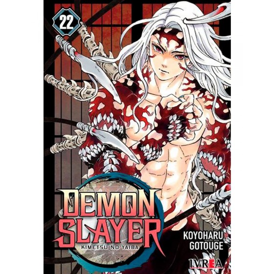 Demon Slayer - Kimetsu No Yaiba 22 - Manga